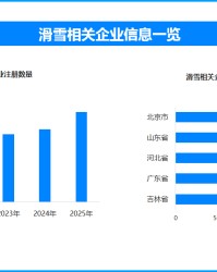 MK体育app下载-网购滑雪装备成风尚 现存滑雪相关企业超1.3万家